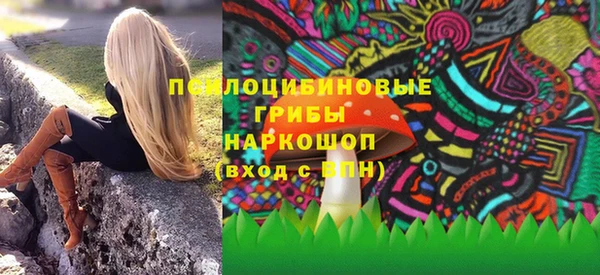 гидропоника Анжеро-Судженск
