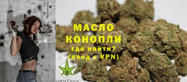 гидропоника Анжеро-Судженск