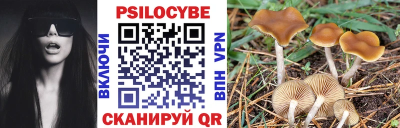 Галлюциногенные грибы Psilocybine cubensis shop какой сайт Покровск